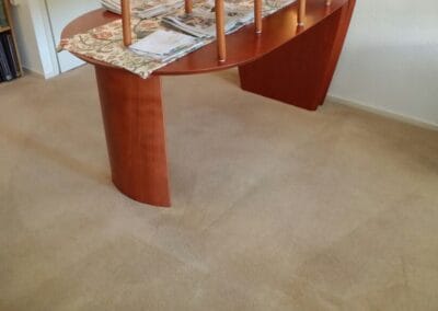 Tapijt-reinigen-woonkamer