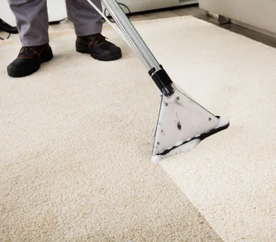 Professionele tapijtreiniging Tapijt reinigen
